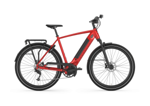 Gazelle Ultimate T10+