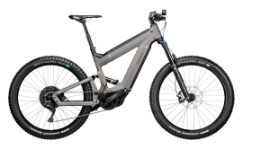 Riese & Müller Superdelite mountain rohloff, 51cm, tundra grey matte, Nyon 1125Wh, Abus Bordo 6000, front carrier w/ bag, Carrier
