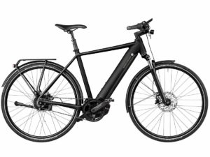 Riese & Müller Roadster Vario