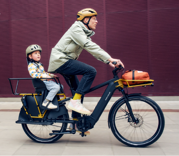 Riese & Müller Multicharger GT vario 750, Smart System, Grey/Black 47cm, Kiox 300, Passenger kit, GX option, Front carrier - Image 5