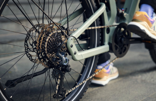 Riese & Müller Delite4, Bosch Smart System - Image 3