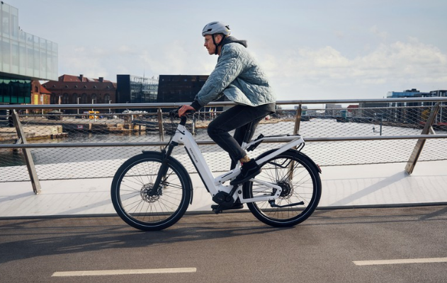 Riese & Müller Homage4, Bosch Smart System - Image 3