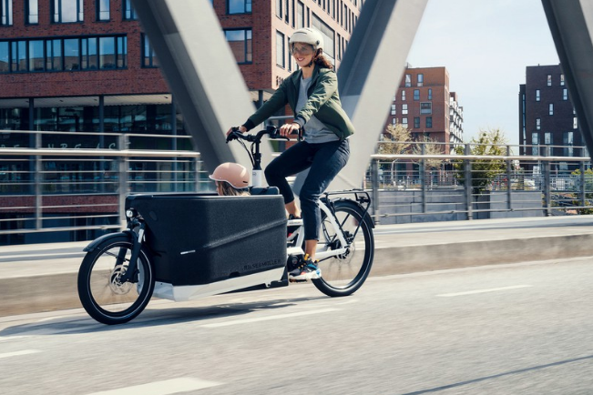 Riese & Müller Packster2 70, Bosch Smart System, Intuvia 100, white, 750Wh, Comfort kit, Double child seat with cover - Image 6